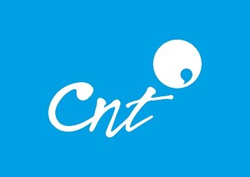 consulta la guía telefónica cnt: ¿cómo y por qué?