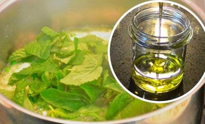 Infusión de menta para el cabello