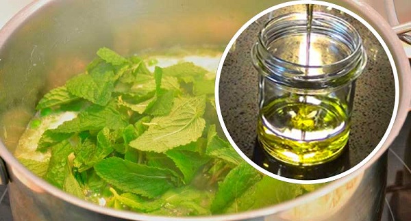 infusión de hojas de menta para hacer crecer el cabello