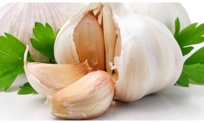 Ajo - Planta medicinal