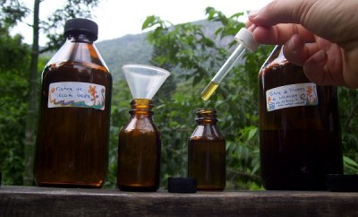 Cómo hacer tintura de valeriana