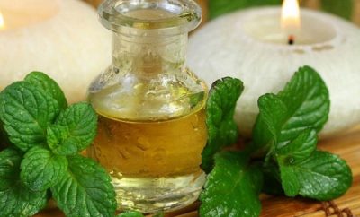Cómo hacer aceite de menta
