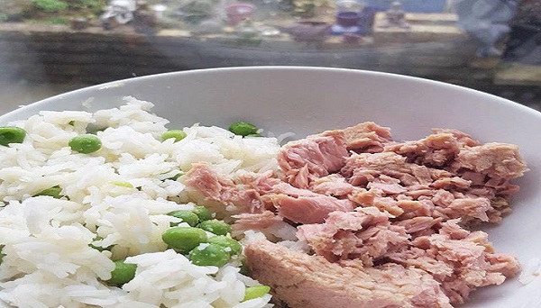 Dieta de atún y arroz para adelgazar 3 kilos
