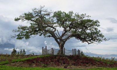 Mirador el lechero-Otavalo