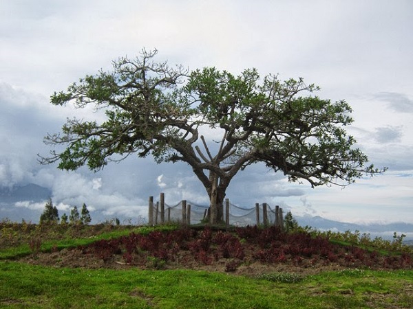 Mirador el lechero-Otavalo