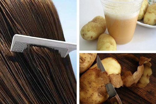 Los mejores remedios caseros para hacer crecer el cabello