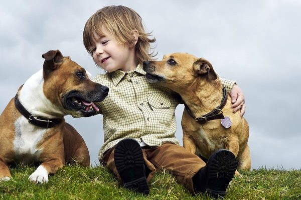 beneficios de tener una mascota para la salud