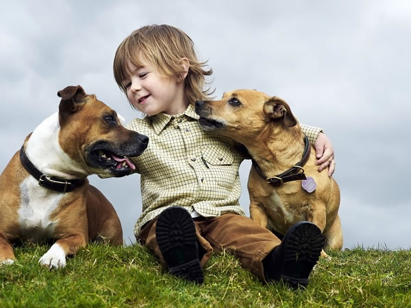 Beneficios de tener una mascota para la salud