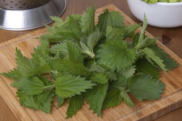 Lociones caseras para la caída del cabello