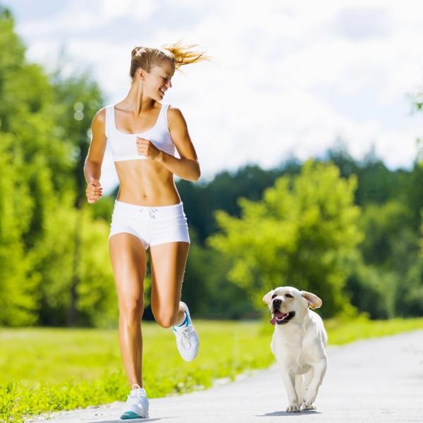 Deportes que puedes practicar con tu perro