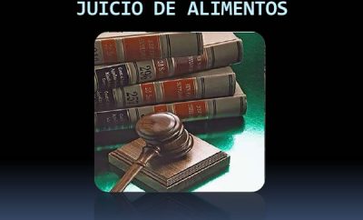 Procedimiento juicio de alimentos