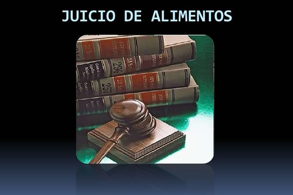 procedimiento para realizar un juicio de alimentos