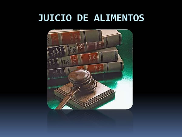 Procedimiento juicio de alimentos