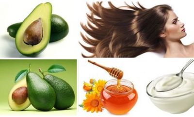 limentos-que-ayudan-a-la-regeneracion-del-cabello