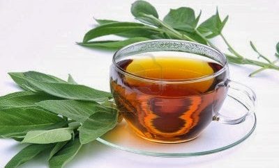 Té de eucalipto para la garganta