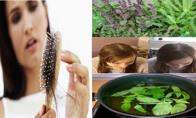 Remedio con albahaca para la caida del cabello