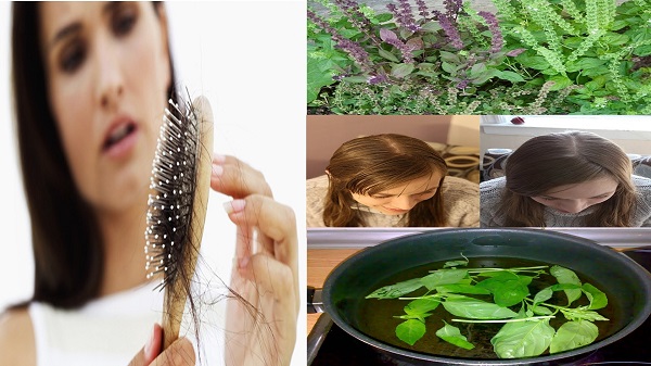 remedio con albahaca para la caída del cabello