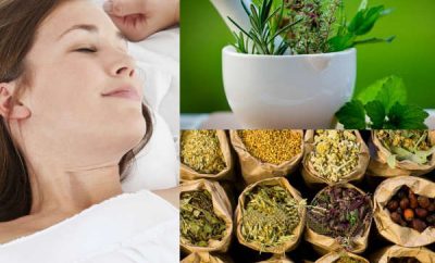 plantas naturales para dormir mejor