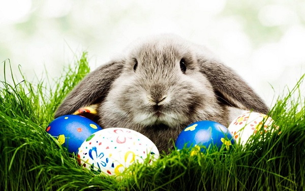 Conejo de pascua, Semana santa