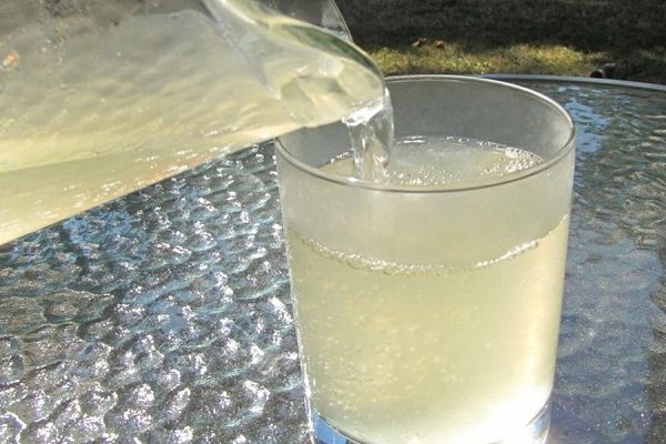 agua de linaza para bajar de peso