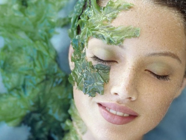 como hacer una mascarilla de cilantro para la cara