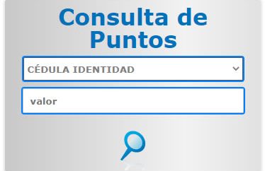 Consultar puntos de la licencia