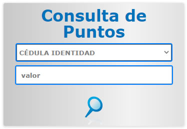 Consultar puntos de la licencia