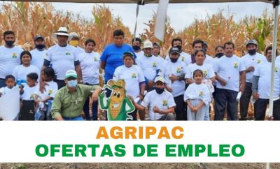 Oferta de trabajo en Agripac Ecuador