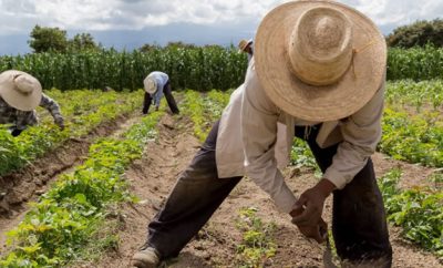 Vacantes de trabajo en Estados Unidos