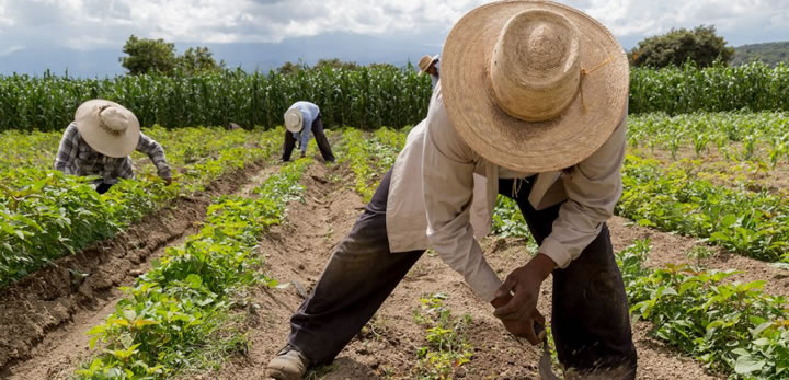 Vacantes de trabajo en Estados Unidos