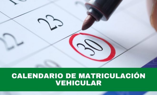 calendario de matriculación vehicular 2024