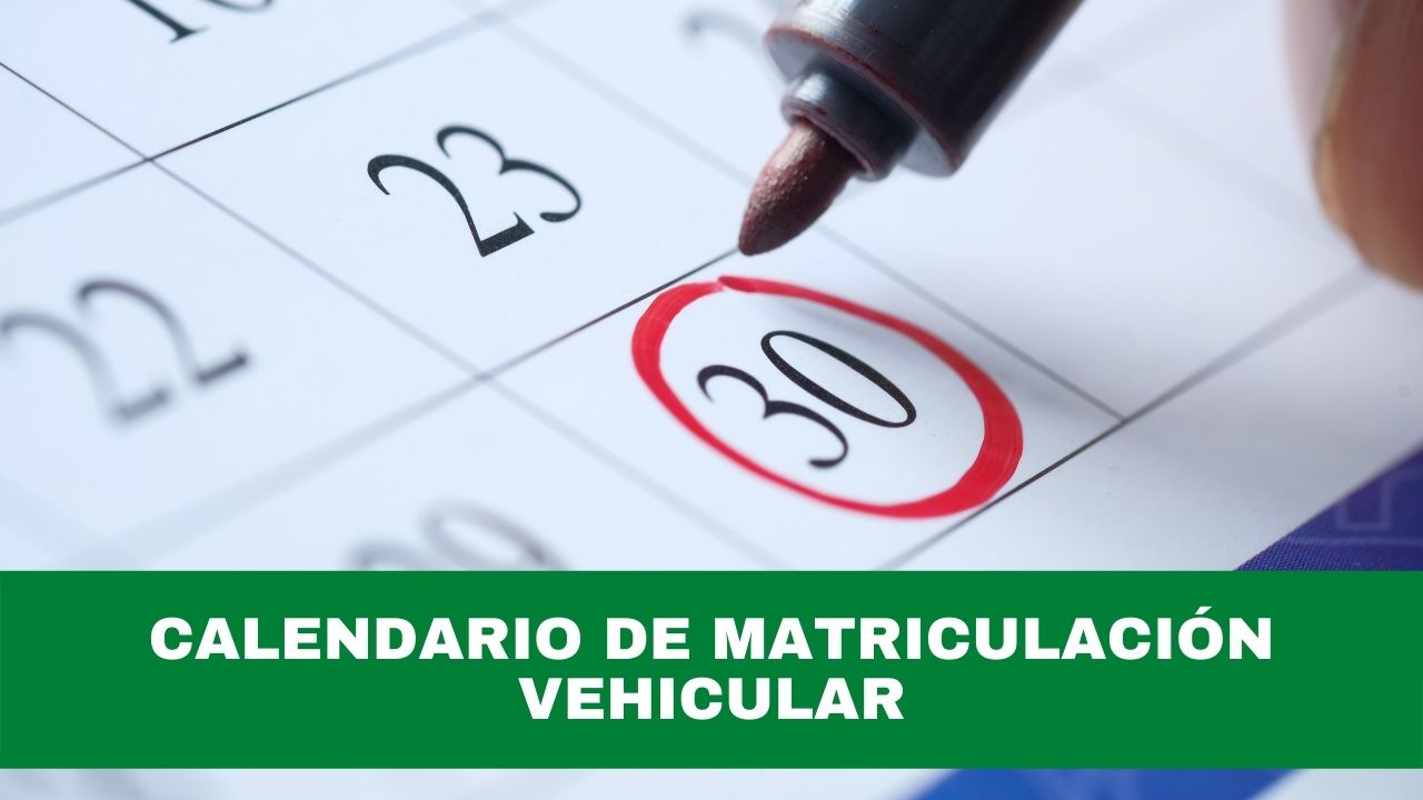 Calendario de Matriculación Vehicular 2024 Conmicelu