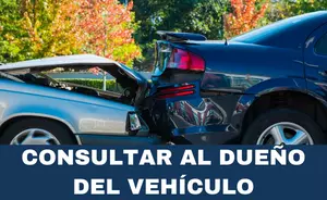 Dueño de carro