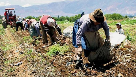 Afiliación al Seguro Social campesino