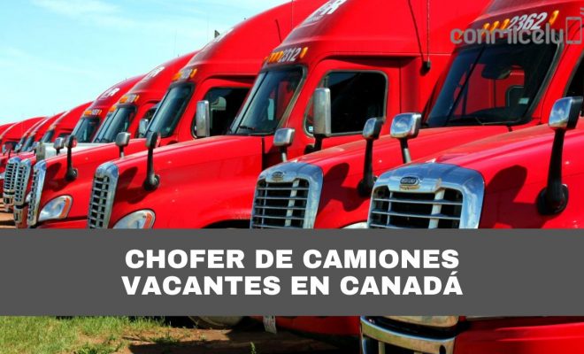 trabajo de camionero en canadá para latinoamericanos: uno de los más solicitados