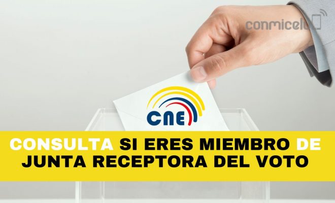 consultar si soy miembro de junta receptora del voto para las elecciones 2024