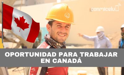 Canadá requiere 1.4 millones de inmigrantes para puestos de trabajo