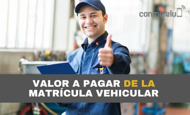 sri consultar valor a pagar matrícula vehicular ant 2024