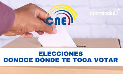 Cómo saber en dónde me toca votar