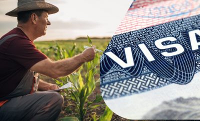 Visa Americana H-2A: Requisitos y Cómo Pedirla para Trabajar en el Campo de EEUU