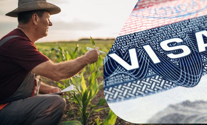 visa americana h-2a: requisitos y cómo pedirla para trabajar en el campo en eeuu