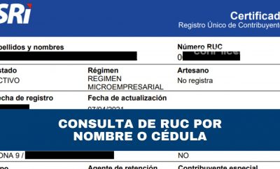 Consulta de RUC por nombre o cédula sri en línea