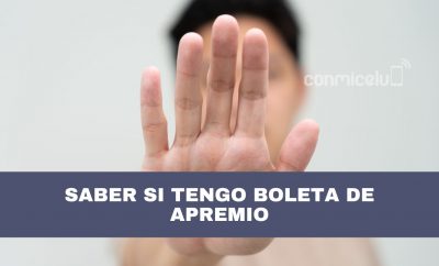 Cómo saber si tengo una boleta de apremio por pensiones alimenticias