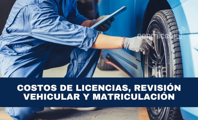 costos de licencias, revisión vehicular y matriculación para el 2024