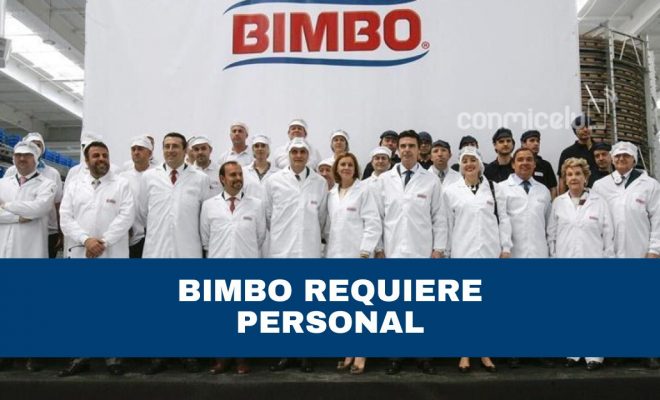 bimbo requiere personal calificado