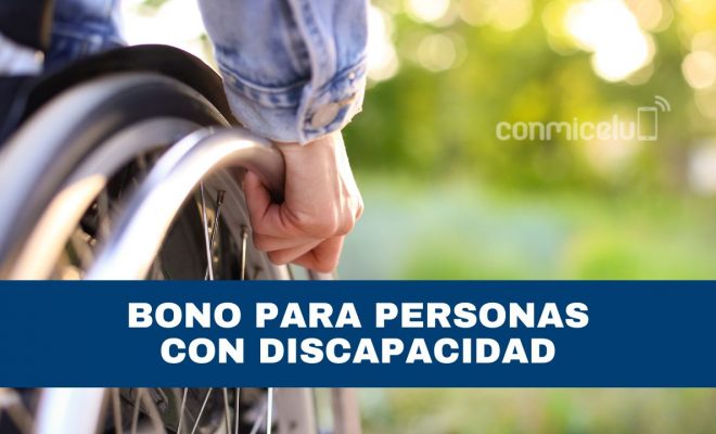bono para personas con discapacidad: inscripción y consulta