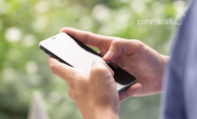 data593: cómo acceder a documentos certificados y trámites públicos